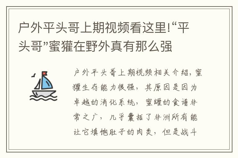 戶外平頭哥上期視頻看這里!“平頭哥"蜜獾在野外真有那么強(qiáng)嗎？真相在這里-戶外動(dòng)物知識