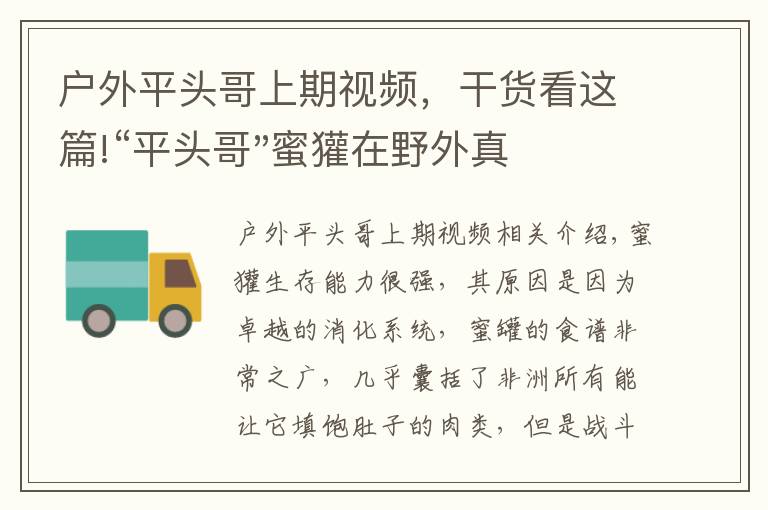 戶外平頭哥上期視頻，干貨看這篇!“平頭哥"蜜獾在野外真有那么強嗎？真相在這里-戶外動物知識