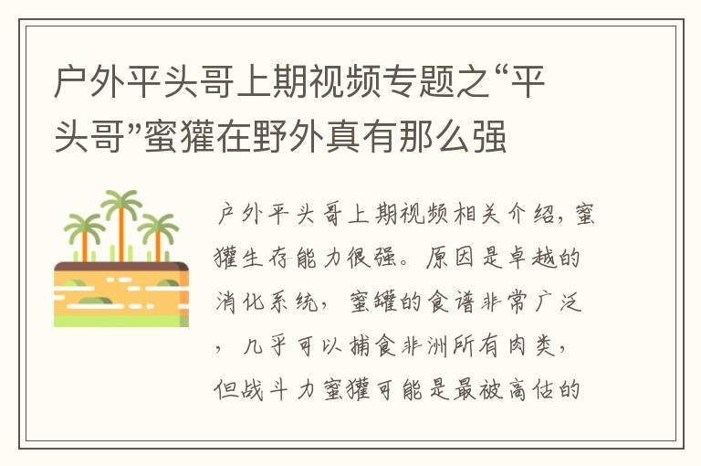 戶外平頭哥上期視頻專題之“平頭哥"蜜獾在野外真有那么強嗎？真相在這里-戶外動物知識