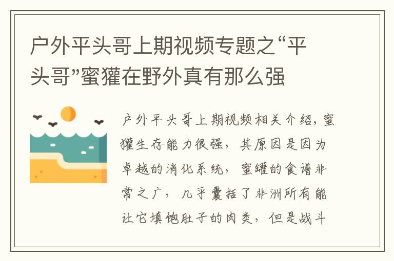 戶外平頭哥上期視頻專題之“平頭哥"蜜獾在野外真有那么強嗎？真相在這里-戶外動物知識