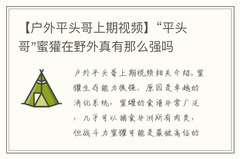 【戶外平頭哥上期視頻】“平頭哥"蜜獾在野外真有那么強嗎？真相在這里-戶外動物知識