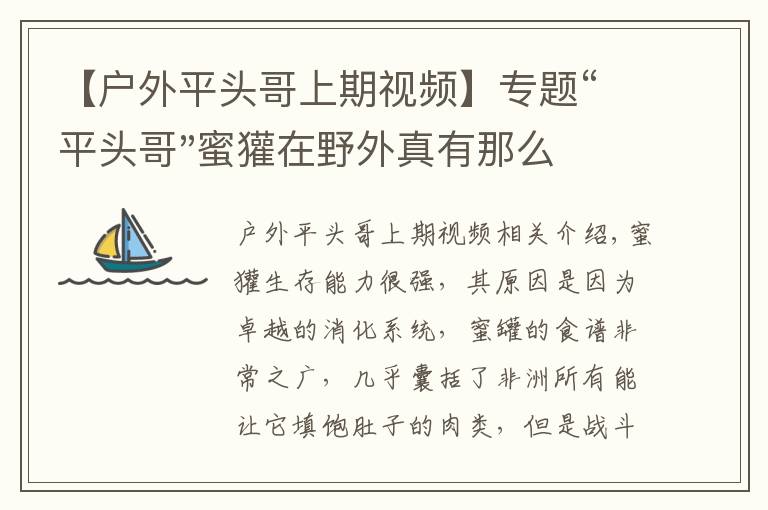 【戶外平頭哥上期視頻】專題“平頭哥"蜜獾在野外真有那么強(qiáng)嗎？真相在這里-戶外動(dòng)物知識