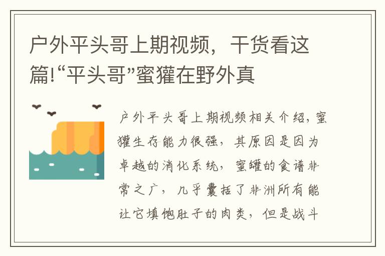 戶外平頭哥上期視頻，干貨看這篇!“平頭哥"蜜獾在野外真有那么強嗎？真相在這里-戶外動物知識