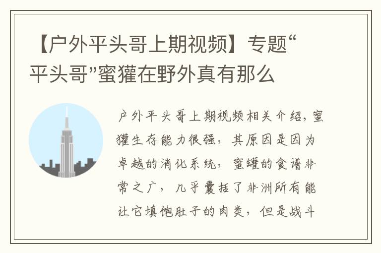 【戶外平頭哥上期視頻】專題“平頭哥"蜜獾在野外真有那么強(qiáng)嗎？真相在這里-戶外動(dòng)物知識(shí)