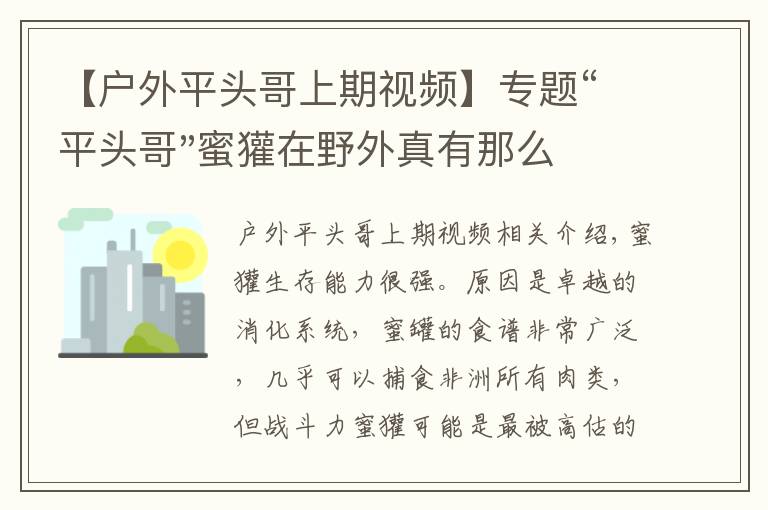 【戶外平頭哥上期視頻】專題“平頭哥"蜜獾在野外真有那么強(qiáng)嗎？真相在這里-戶外動(dòng)物知識(shí)