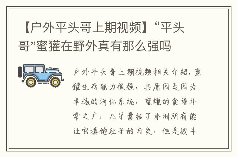 【戶外平頭哥上期視頻】“平頭哥"蜜獾在野外真有那么強嗎？真相在這里-戶外動物知識