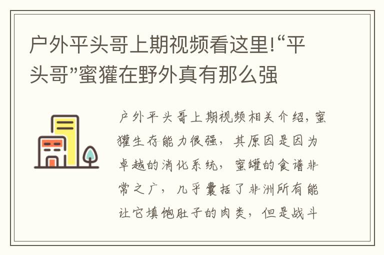 戶外平頭哥上期視頻看這里!“平頭哥"蜜獾在野外真有那么強(qiáng)嗎？真相在這里-戶外動(dòng)物知識(shí)