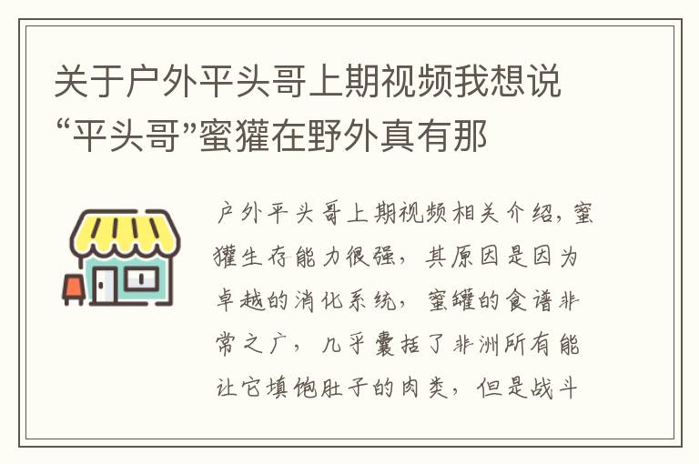 關(guān)于戶外平頭哥上期視頻我想說“平頭哥"蜜獾在野外真有那么強(qiáng)嗎？真相在這里-戶外動(dòng)物知識(shí)