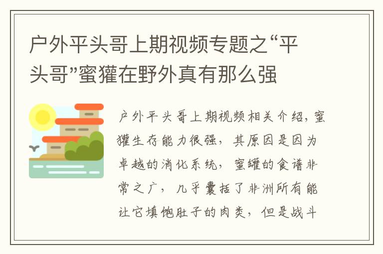 戶外平頭哥上期視頻專題之“平頭哥"蜜獾在野外真有那么強嗎？真相在這里-戶外動物知識