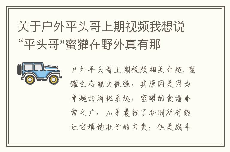 關(guān)于戶外平頭哥上期視頻我想說“平頭哥"蜜獾在野外真有那么強(qiáng)嗎？真相在這里-戶外動物知識