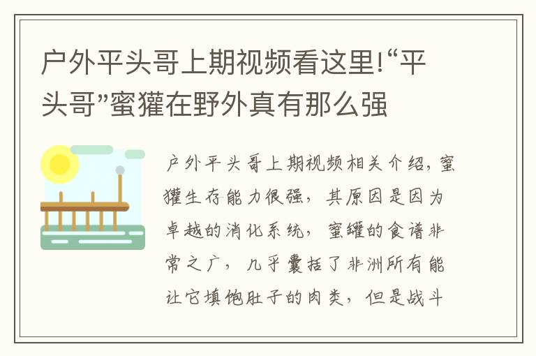 戶外平頭哥上期視頻看這里!“平頭哥"蜜獾在野外真有那么強(qiáng)嗎？真相在這里-戶外動(dòng)物知識(shí)