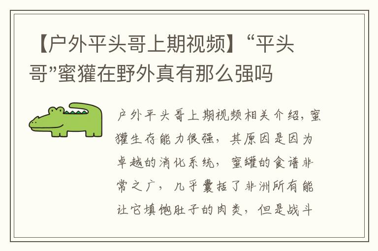 【戶外平頭哥上期視頻】“平頭哥"蜜獾在野外真有那么強嗎？真相在這里-戶外動物知識