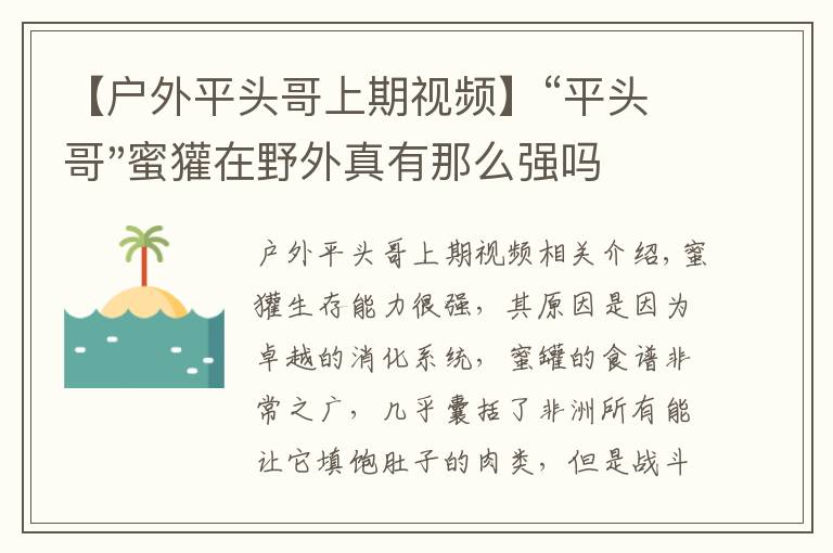 【戶外平頭哥上期視頻】“平頭哥"蜜獾在野外真有那么強(qiáng)嗎？真相在這里-戶外動(dòng)物知識(shí)