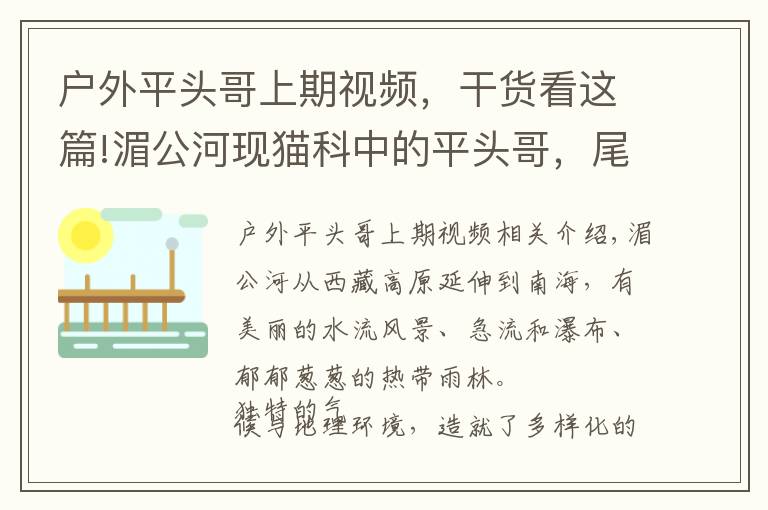 戶(hù)外平頭哥上期視頻，干貨看這篇!湄公河現(xiàn)貓科中的平頭哥，尾巴能在水中掌舵，用胡須探測(cè)魚(yú)兒位置