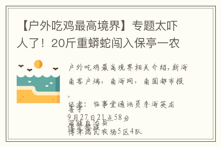 【戶外吃雞最高境界】專題太嚇人了！20斤重蟒蛇闖入保亭一農(nóng)戶家“吃雞”