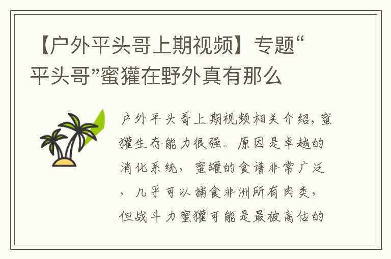 【戶外平頭哥上期視頻】專題“平頭哥"蜜獾在野外真有那么強(qiáng)嗎？真相在這里-戶外動(dòng)物知識