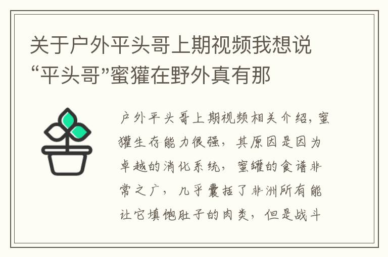 關于戶外平頭哥上期視頻我想說“平頭哥"蜜獾在野外真有那么強嗎？真相在這里-戶外動物知識