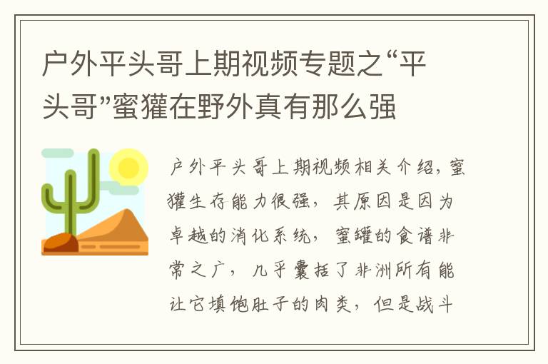 戶外平頭哥上期視頻專題之“平頭哥"蜜獾在野外真有那么強嗎？真相在這里-戶外動物知識