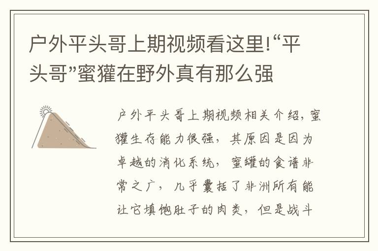 戶外平頭哥上期視頻看這里!“平頭哥"蜜獾在野外真有那么強(qiáng)嗎？真相在這里-戶外動(dòng)物知識(shí)