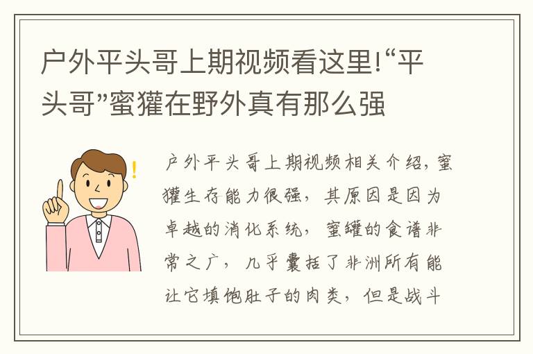 戶外平頭哥上期視頻看這里!“平頭哥"蜜獾在野外真有那么強(qiáng)嗎？真相在這里-戶外動物知識