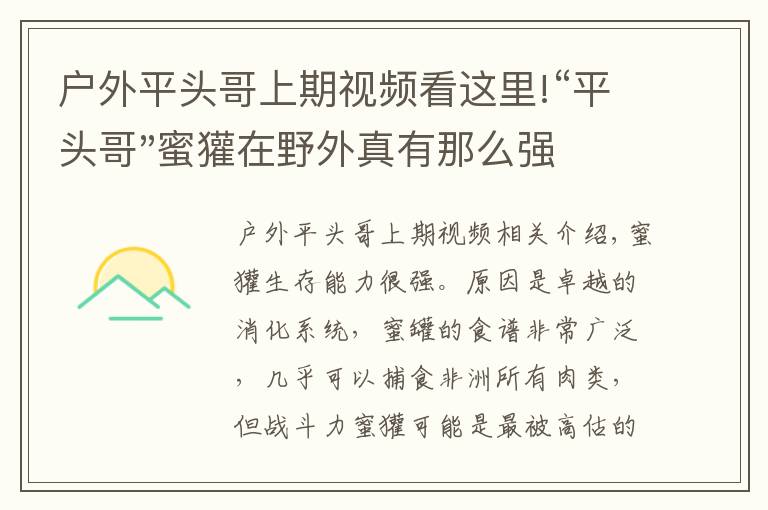 戶外平頭哥上期視頻看這里!“平頭哥"蜜獾在野外真有那么強(qiáng)嗎？真相在這里-戶外動物知識