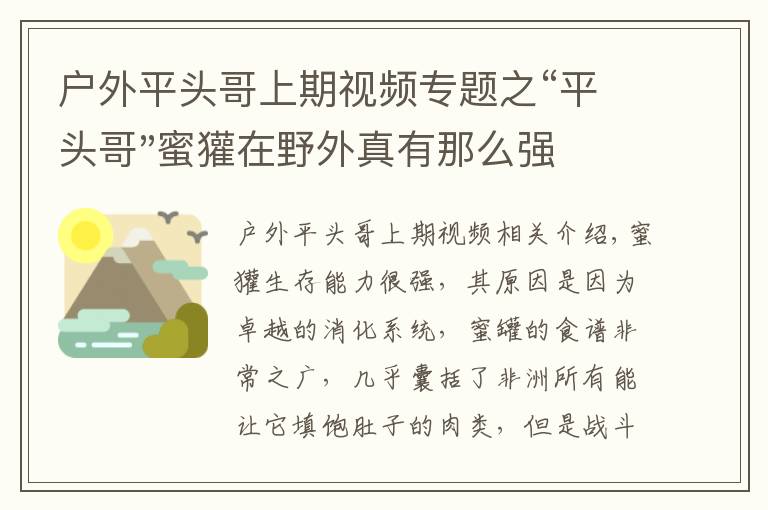 戶外平頭哥上期視頻專題之“平頭哥"蜜獾在野外真有那么強(qiáng)嗎？真相在這里-戶外動(dòng)物知識(shí)