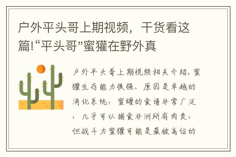 戶外平頭哥上期視頻，干貨看這篇!“平頭哥"蜜獾在野外真有那么強(qiáng)嗎？真相在這里-戶外動物知識