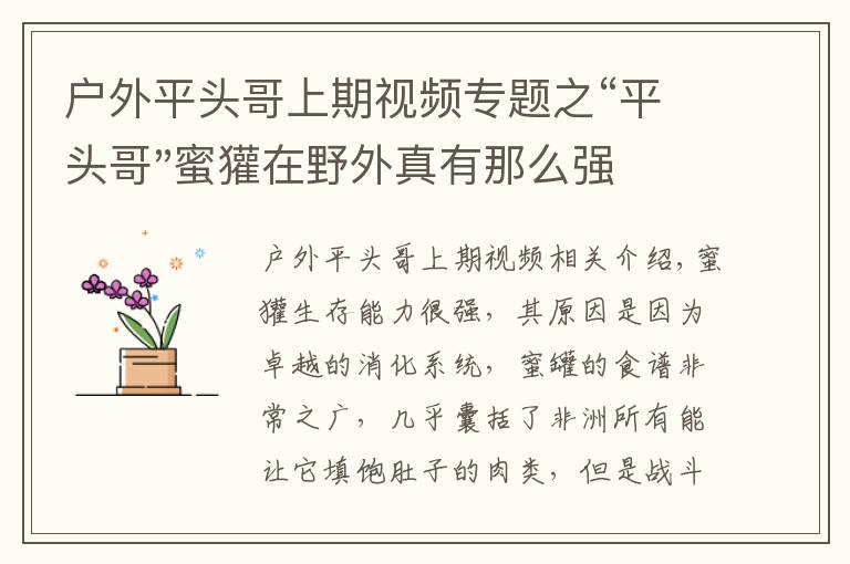 戶外平頭哥上期視頻專題之“平頭哥"蜜獾在野外真有那么強(qiáng)嗎？真相在這里-戶外動(dòng)物知識(shí)