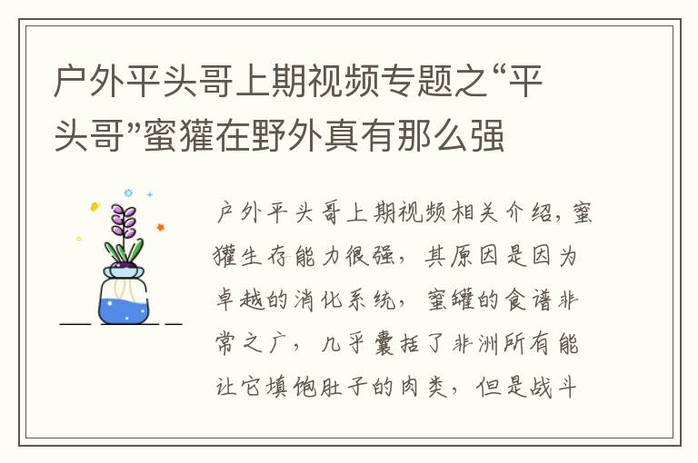 戶外平頭哥上期視頻專題之“平頭哥"蜜獾在野外真有那么強(qiáng)嗎？真相在這里-戶外動(dòng)物知識