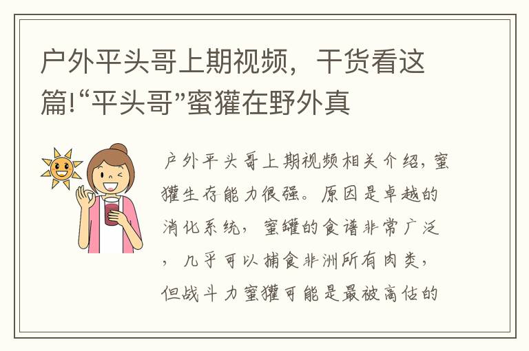 戶外平頭哥上期視頻，干貨看這篇!“平頭哥"蜜獾在野外真有那么強(qiáng)嗎？真相在這里-戶外動(dòng)物知識(shí)