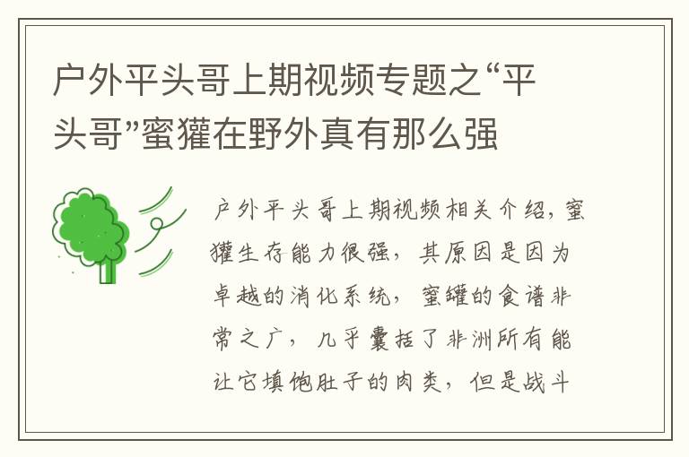 戶外平頭哥上期視頻專題之“平頭哥"蜜獾在野外真有那么強(qiáng)嗎？真相在這里-戶外動物知識