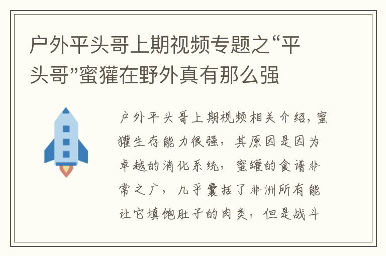 戶外平頭哥上期視頻專題之“平頭哥"蜜獾在野外真有那么強(qiáng)嗎？真相在這里-戶外動(dòng)物知識(shí)