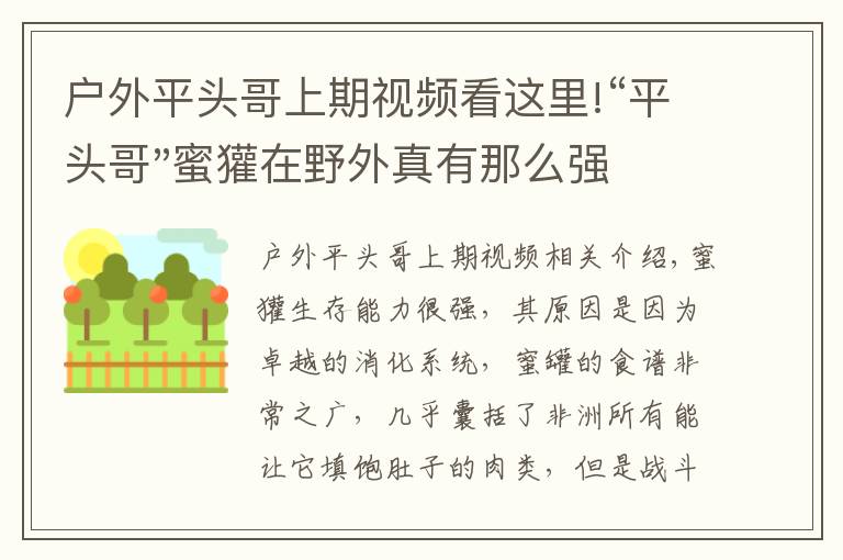 戶外平頭哥上期視頻看這里!“平頭哥"蜜獾在野外真有那么強(qiáng)嗎？真相在這里-戶外動(dòng)物知識(shí)