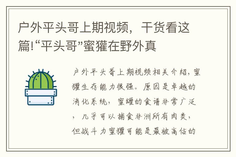 戶外平頭哥上期視頻，干貨看這篇!“平頭哥"蜜獾在野外真有那么強嗎？真相在這里-戶外動物知識