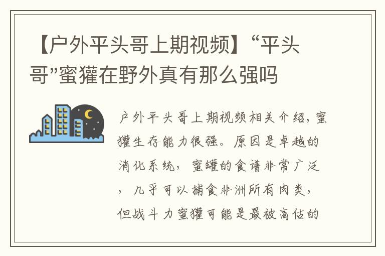 【戶(hù)外平頭哥上期視頻】“平頭哥"蜜獾在野外真有那么強(qiáng)嗎？真相在這里-戶(hù)外動(dòng)物知識(shí)