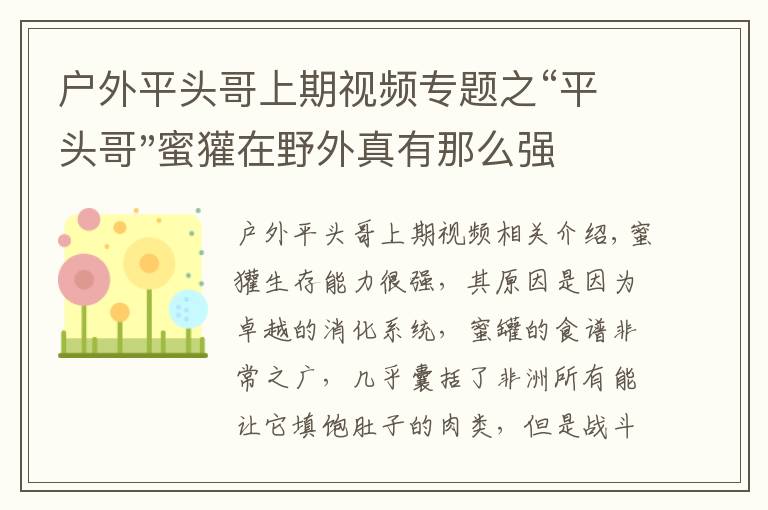 戶外平頭哥上期視頻專題之“平頭哥"蜜獾在野外真有那么強(qiáng)嗎？真相在這里-戶外動物知識