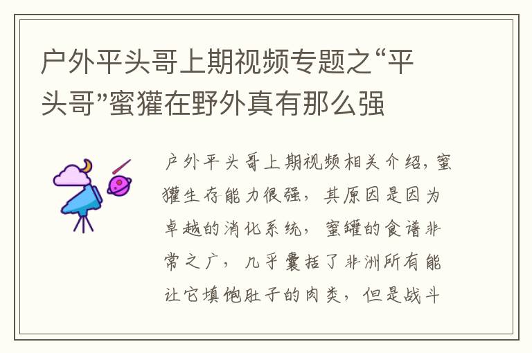 戶外平頭哥上期視頻專題之“平頭哥"蜜獾在野外真有那么強嗎？真相在這里-戶外動物知識