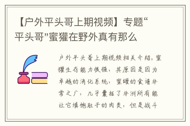 【戶外平頭哥上期視頻】專題“平頭哥"蜜獾在野外真有那么強嗎？真相在這里-戶外動物知識