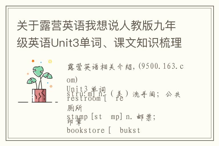 關(guān)于露營英語我想說人教版九年級英語Unit3單詞、課文知識梳理/詞匯句式精講