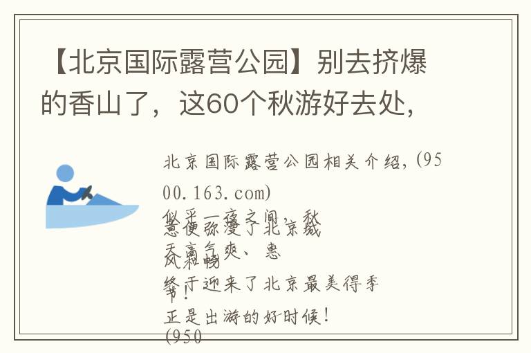 【北京國際露營公園】別去擠爆的香山了，這60個秋游好去處，北京人非去不可！