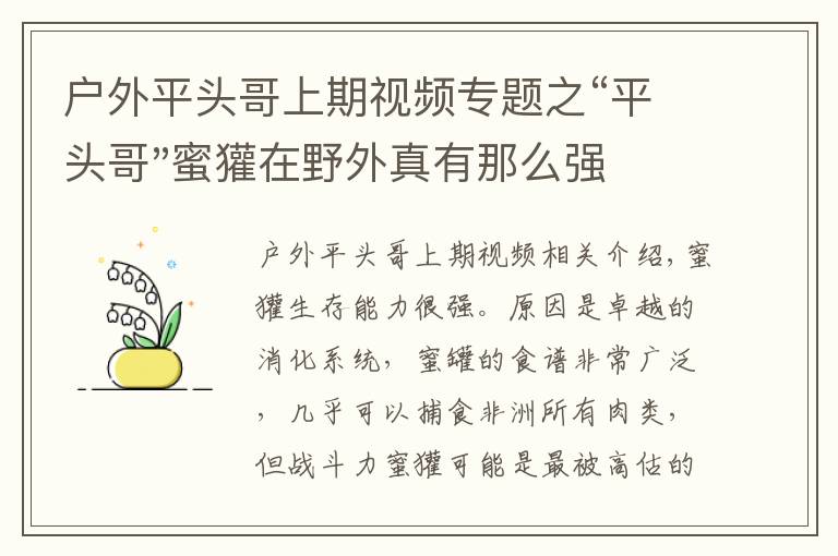 戶外平頭哥上期視頻專題之“平頭哥"蜜獾在野外真有那么強(qiáng)嗎？真相在這里-戶外動物知識