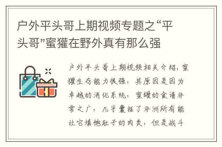 戶外平頭哥上期視頻專題之“平頭哥"蜜獾在野外真有那么強(qiáng)嗎？真相在這里-戶外動物知識