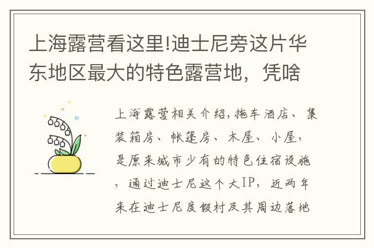 上海露營看這里!迪士尼旁這片華東地區(qū)最大的特色露營地，憑啥活得比五星級酒店還好