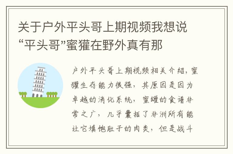 關于戶外平頭哥上期視頻我想說“平頭哥"蜜獾在野外真有那么強嗎？真相在這里-戶外動物知識