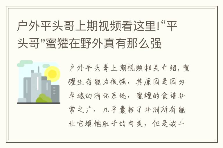 戶外平頭哥上期視頻看這里!“平頭哥"蜜獾在野外真有那么強(qiáng)嗎？真相在這里-戶外動(dòng)物知識(shí)