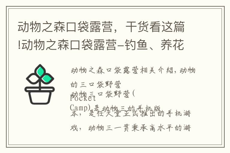 動(dòng)物之森口袋露營，干貨看這篇!動(dòng)物之森口袋露營-釣魚、養(yǎng)花、種植植物，制作自己的別墅花園！