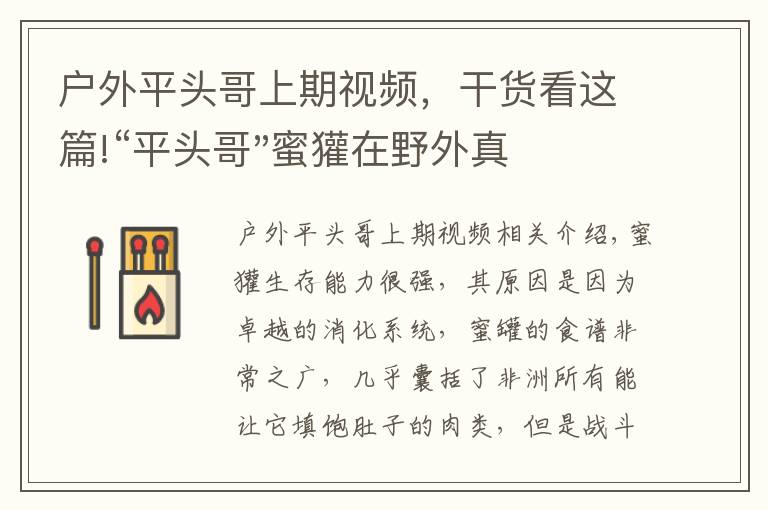 戶外平頭哥上期視頻，干貨看這篇!“平頭哥"蜜獾在野外真有那么強(qiáng)嗎？真相在這里-戶外動物知識