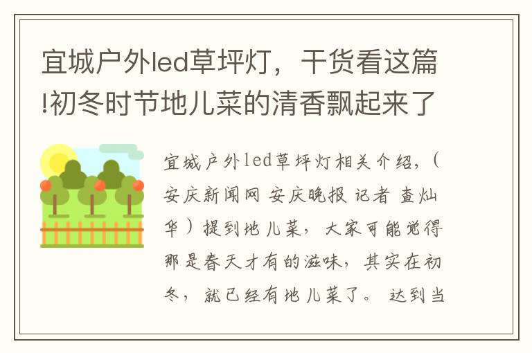 宜城戶外led草坪燈，干貨看這篇!初冬時(shí)節(jié)地兒菜的清香飄起來了