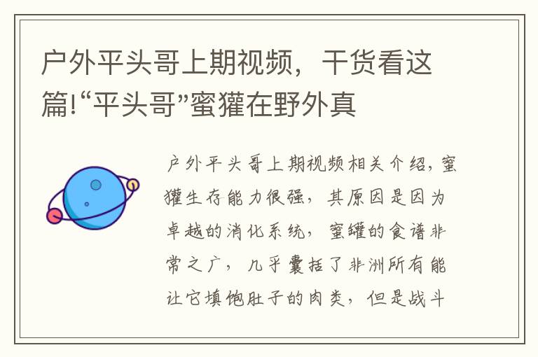 戶外平頭哥上期視頻，干貨看這篇!“平頭哥"蜜獾在野外真有那么強(qiáng)嗎？真相在這里-戶外動(dòng)物知識(shí)