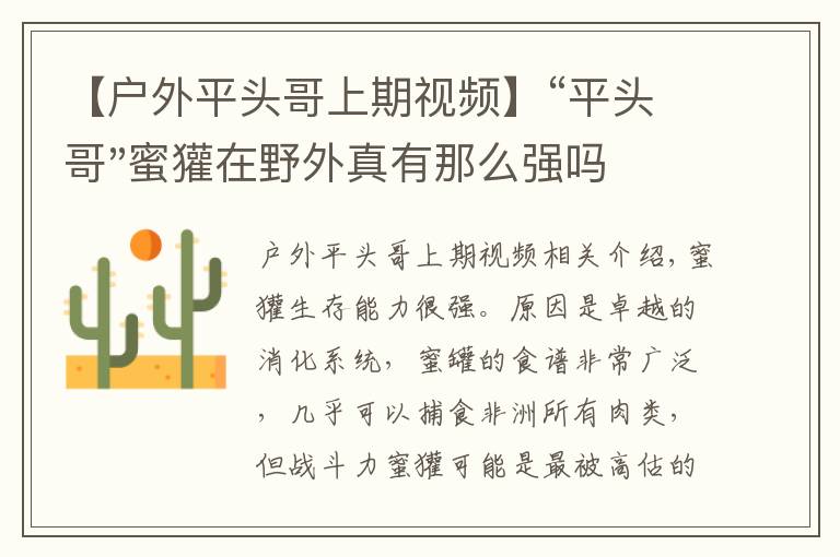 【戶外平頭哥上期視頻】“平頭哥"蜜獾在野外真有那么強(qiáng)嗎？真相在這里-戶外動(dòng)物知識(shí)